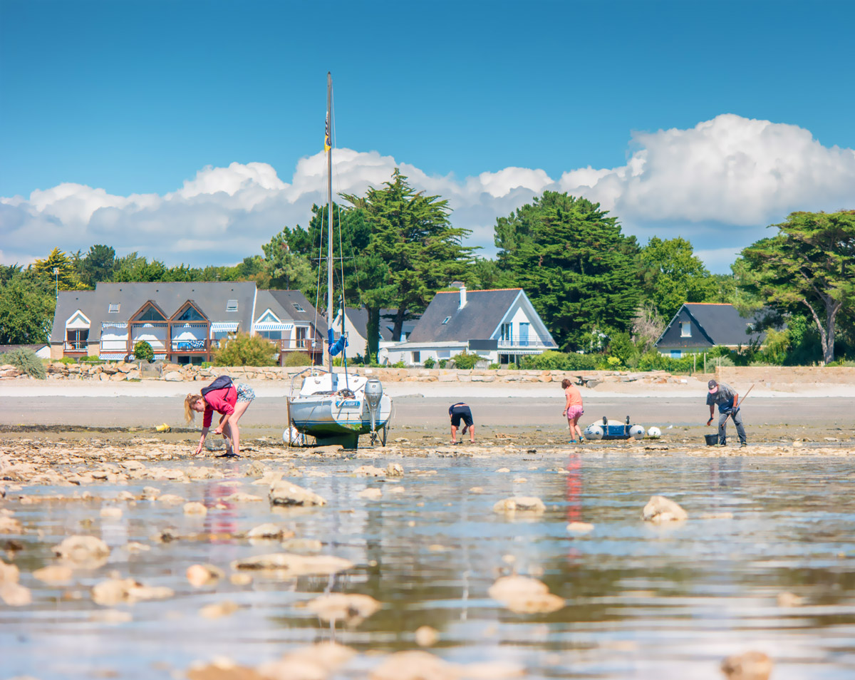 Pêche à pied Morbihan